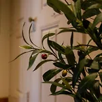 Casa Dos Livros -