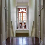 Prázdninový dům Casa Dos Livros - *