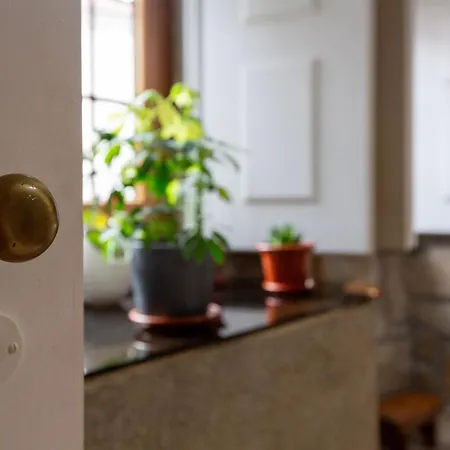 Semesterbostad Casa Dos Livros - *