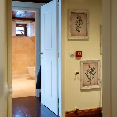 Semesterbostad Casa Dos Livros - Vila Nova de Tazem